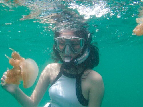 Kakaban Island: Come Swim among Stingless Jellyfish