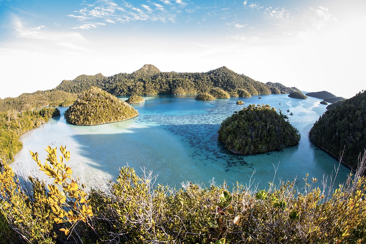 The Ultimate Pristine Paradise in West Papua