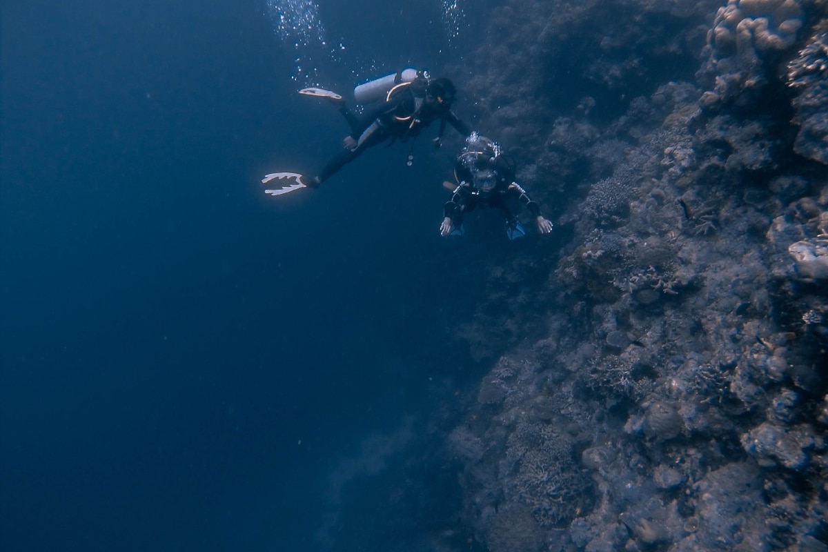 two divers in Wakatobi