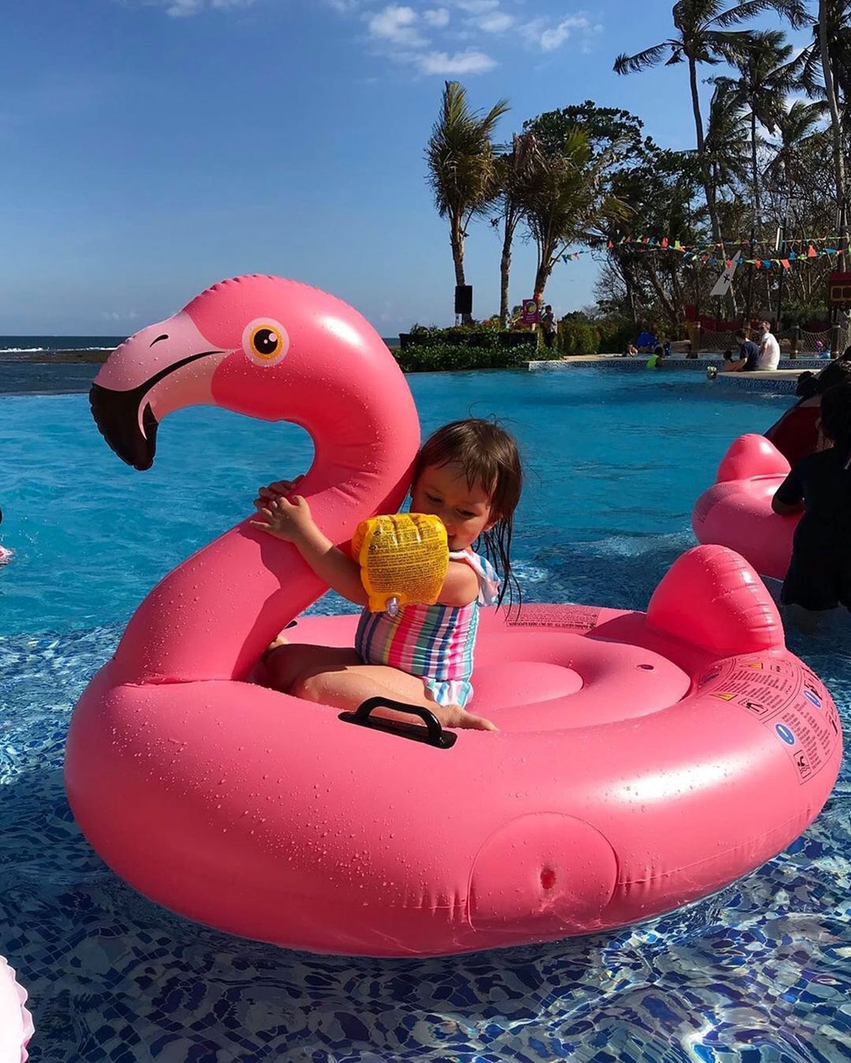 The Flamingo Bali