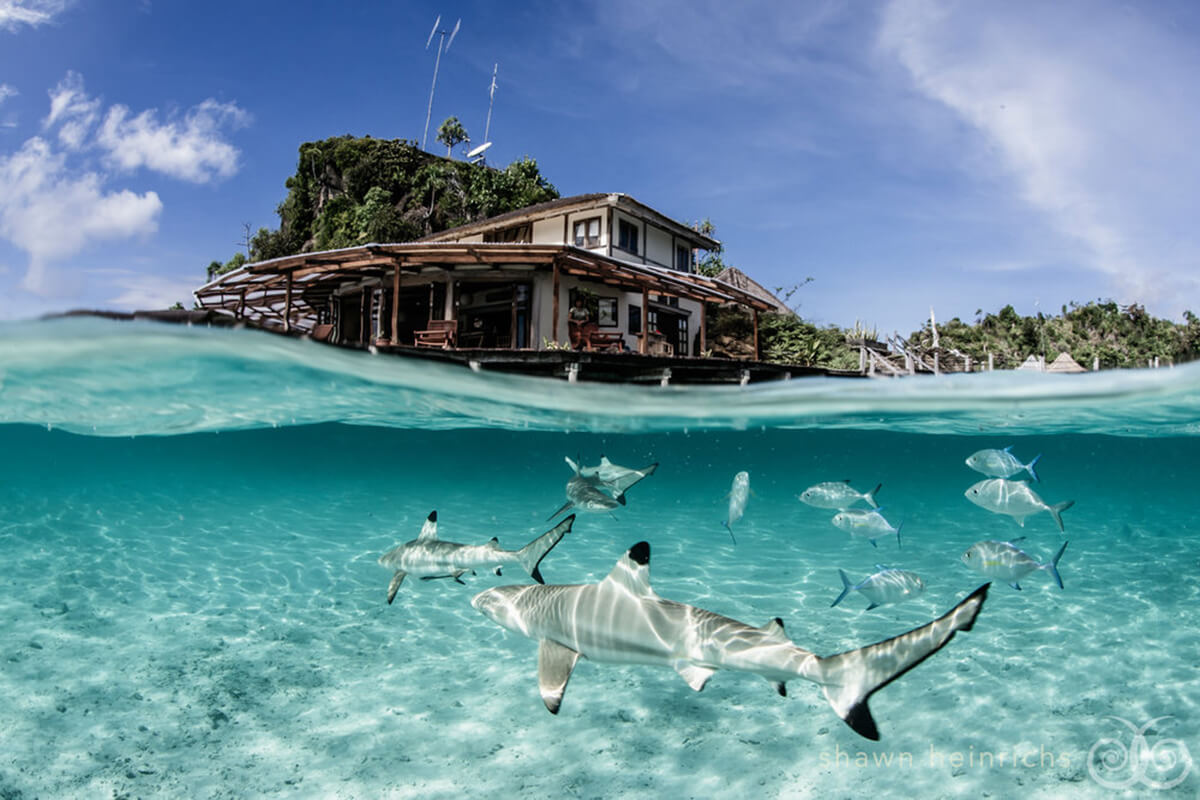 8 Top World Class Diving Resort for You to Enjoy in Indonesia