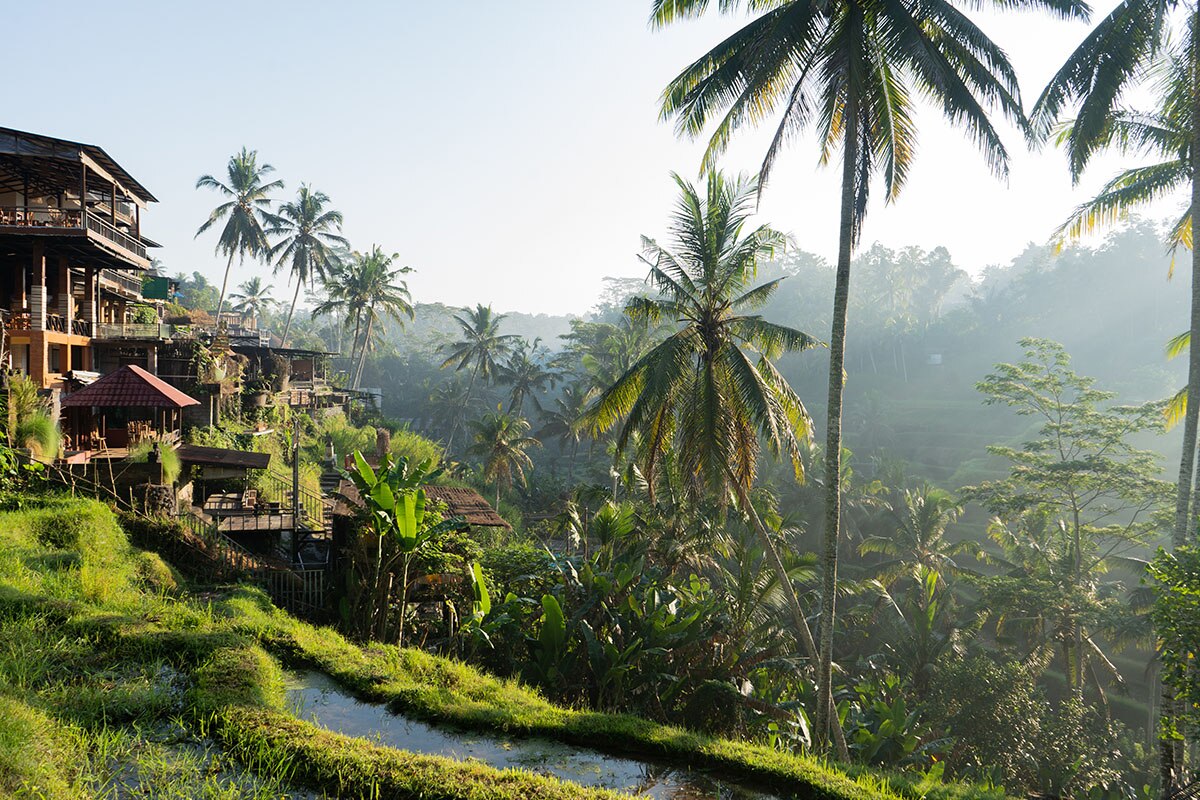 lush terrain at Mas Ubud Village in Bali Indonesia