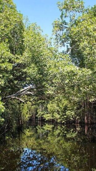 The Latest Status of the Evacuation Process for Tourists Following the Eruption of Mount Lewotobi