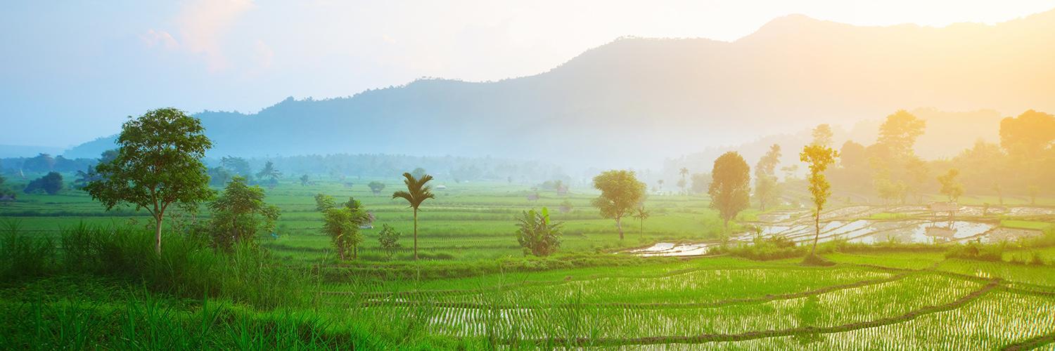 The Latest Status of the Evacuation Process for Tourists Following the Eruption of Mount Lewotobi