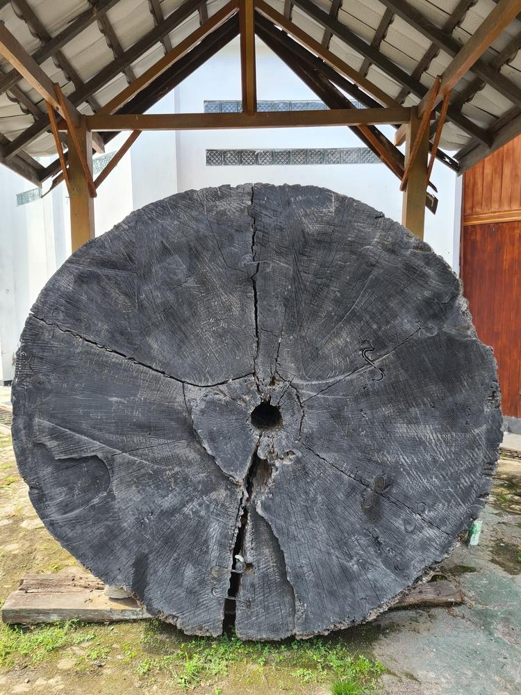 Museum Kayu Sampit, Jejak Sejarah Kehutanan Kalimantan