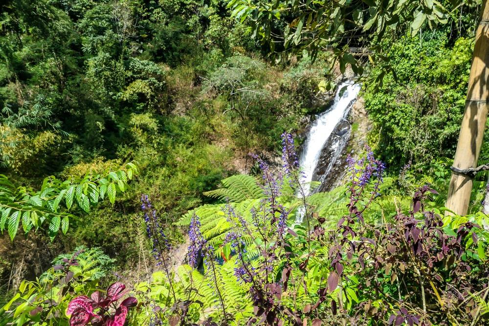 Air Terjun Colek Pamor, Permata Tersembunyi di Buleleng