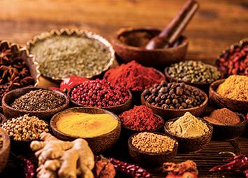 Oukup (欧库佩）， Batak族式的自然温泉和治疗方法