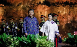 巴迪克，不只是美丽