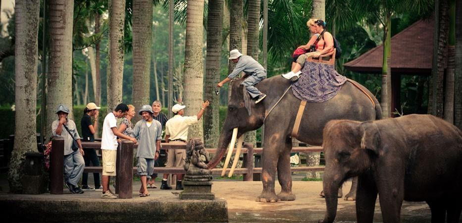 The Latest Status of the Evacuation Process for Tourists Following the Eruption of Mount Lewotobi