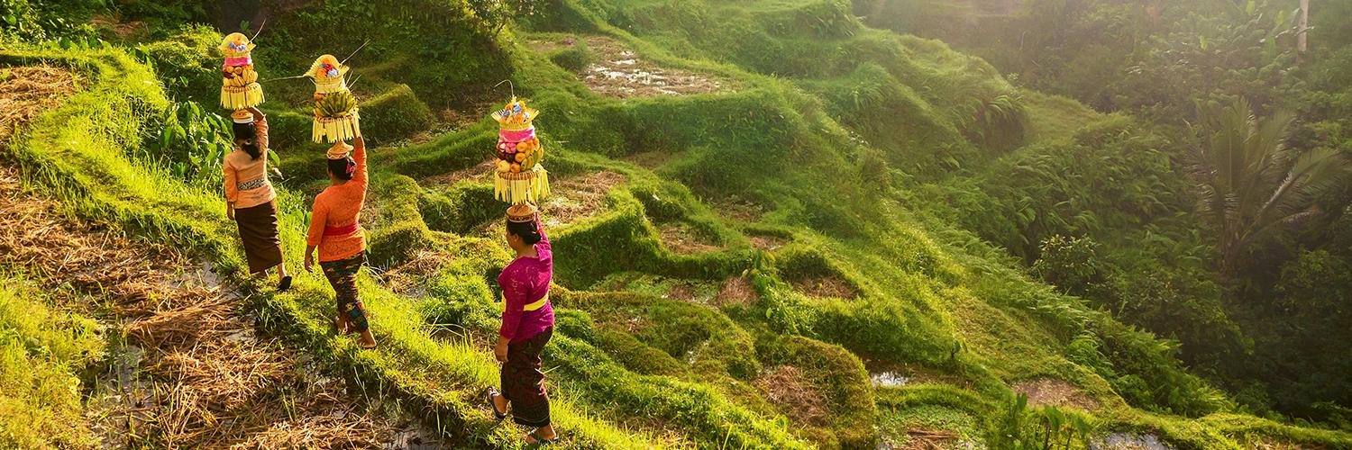 The Latest Status of the Evacuation Process for Tourists Following the Eruption of Mount Lewotobi