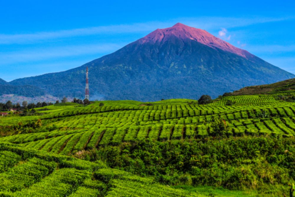 Mont Kerinci : Le toit de Sumatra au charme exceptionnel