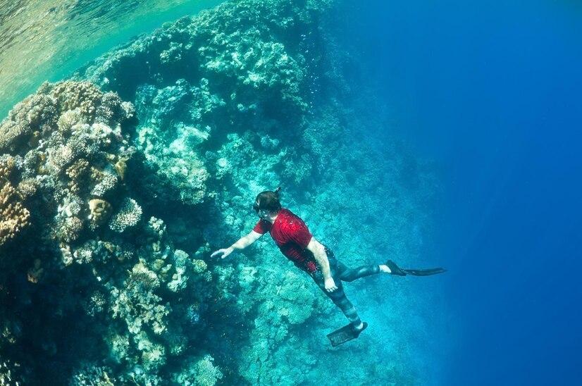 Snorkeling Halmahera