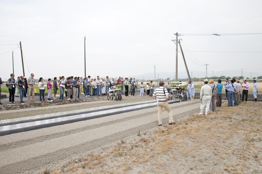International Symposium on Edible Alliaceae