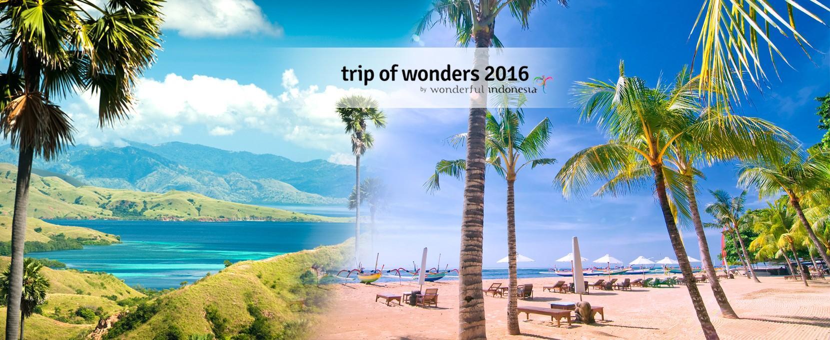 The Latest Status of the Evacuation Process for Tourists Following the Eruption of Mount Lewotobi