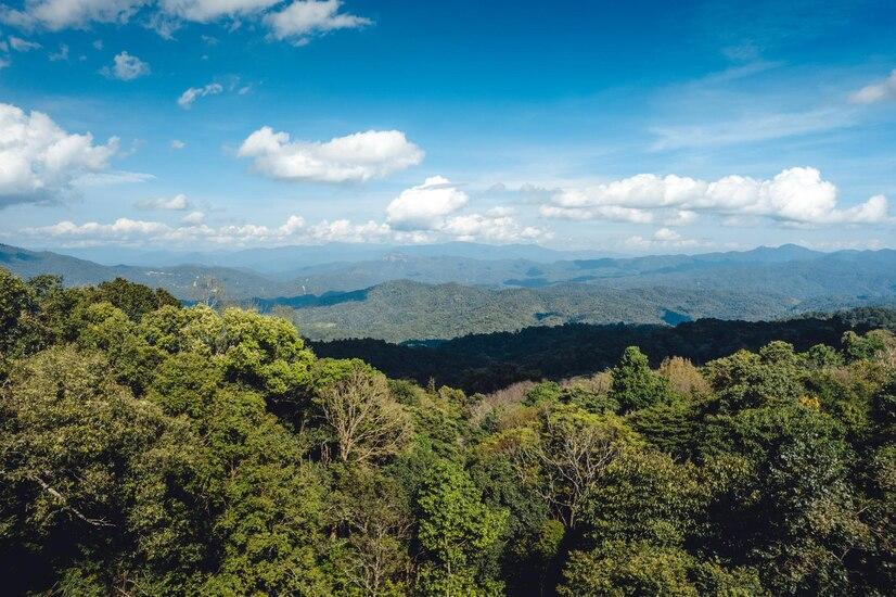 Tangkoko Nature Reserve