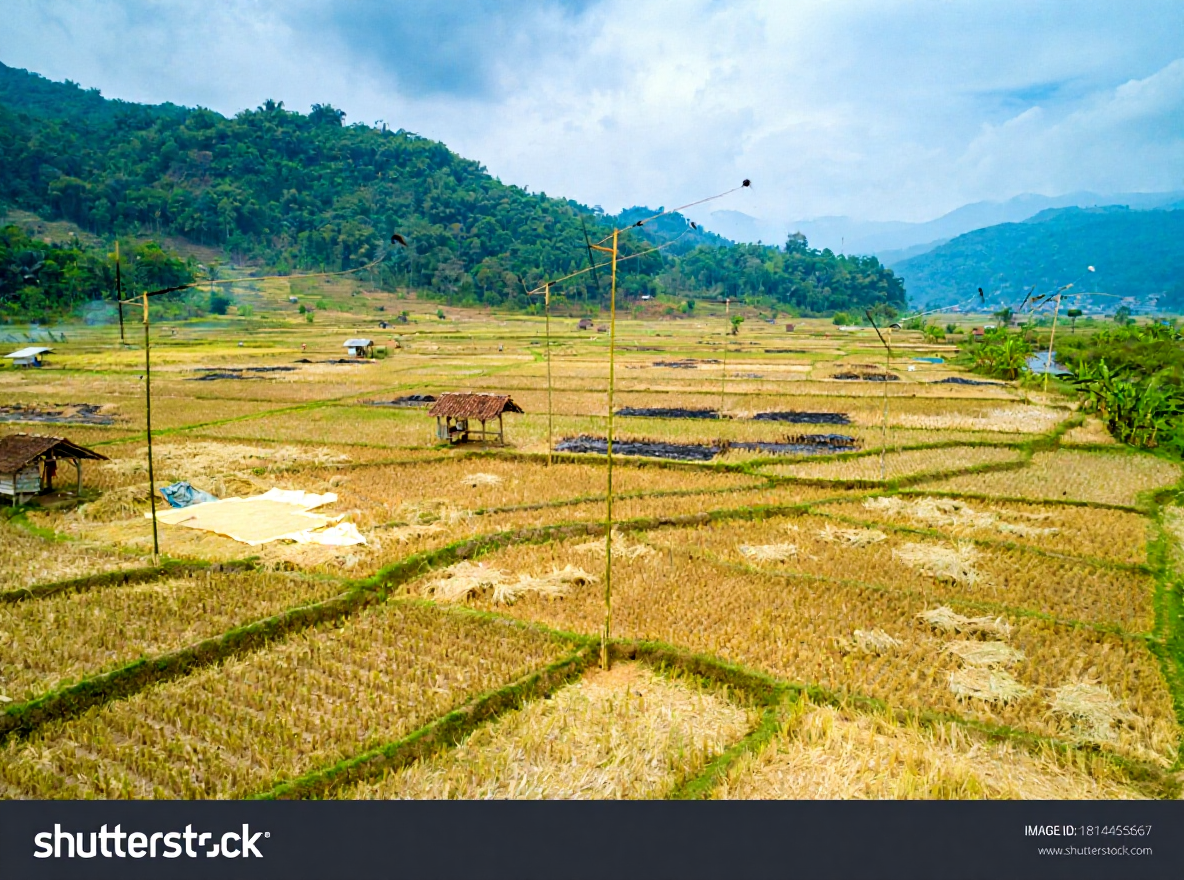 Kampung Salapan