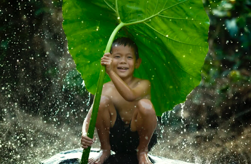雨季的魔法：巴厘岛与印尼美景一夜换新装