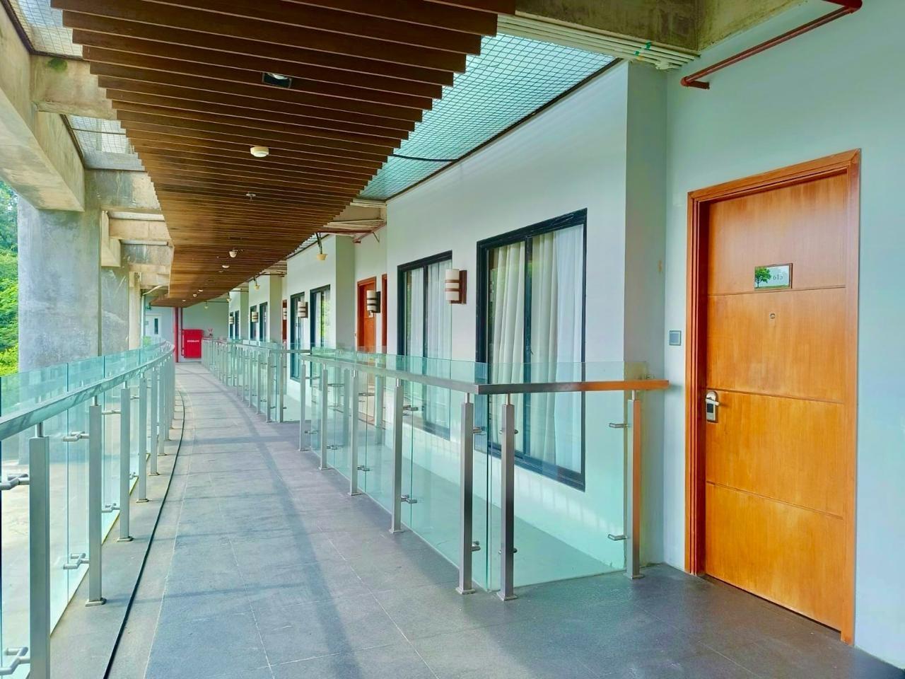 Oak Tree Emerald Semarang