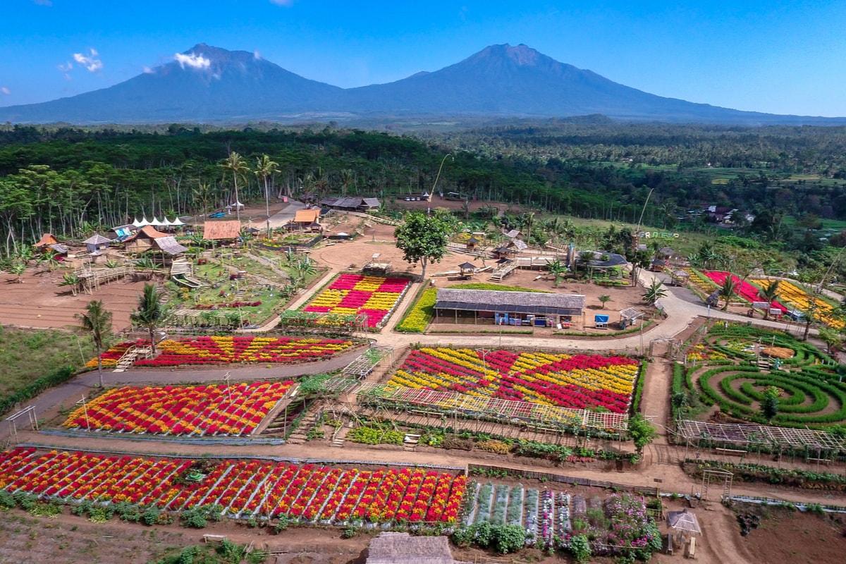 Liburan #DiIndonesiaAja, Kunjungi 9 Agrowisata dengan Pemandangan Asri Ini