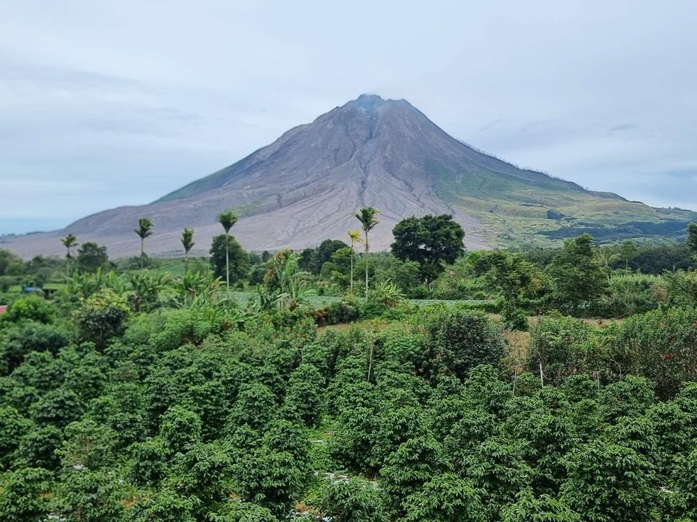 Gunung Sinabung: Fenomena Alam yang Menakjubkan