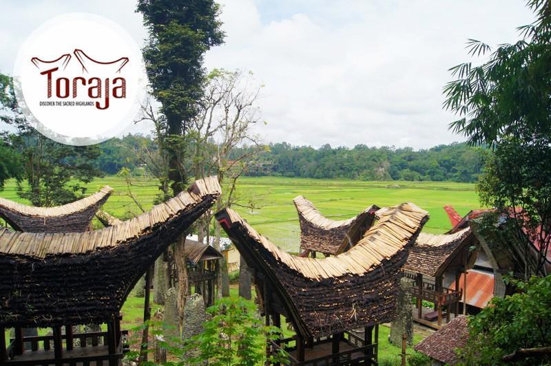 The Latest Status of the Evacuation Process for Tourists Following the Eruption of Mount Lewotobi