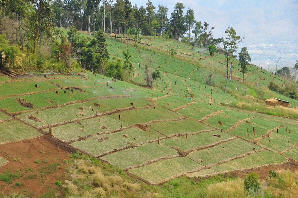 Gunung Loka, Surga Pendaki di Sulawesi Selatan