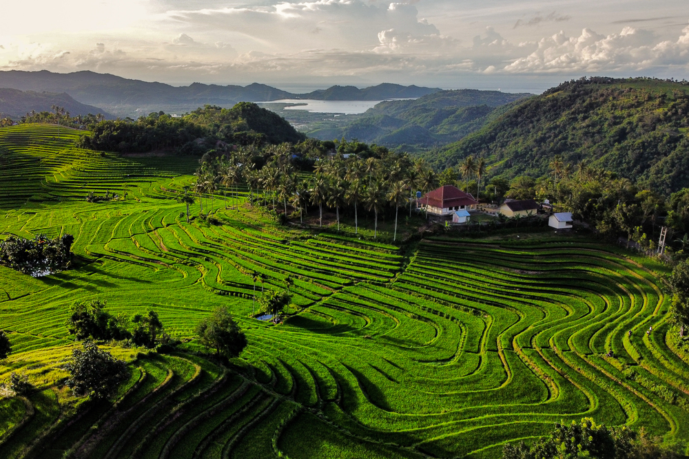 7 Exciting Things in Bilebante Village: Lombok’s Green Escape