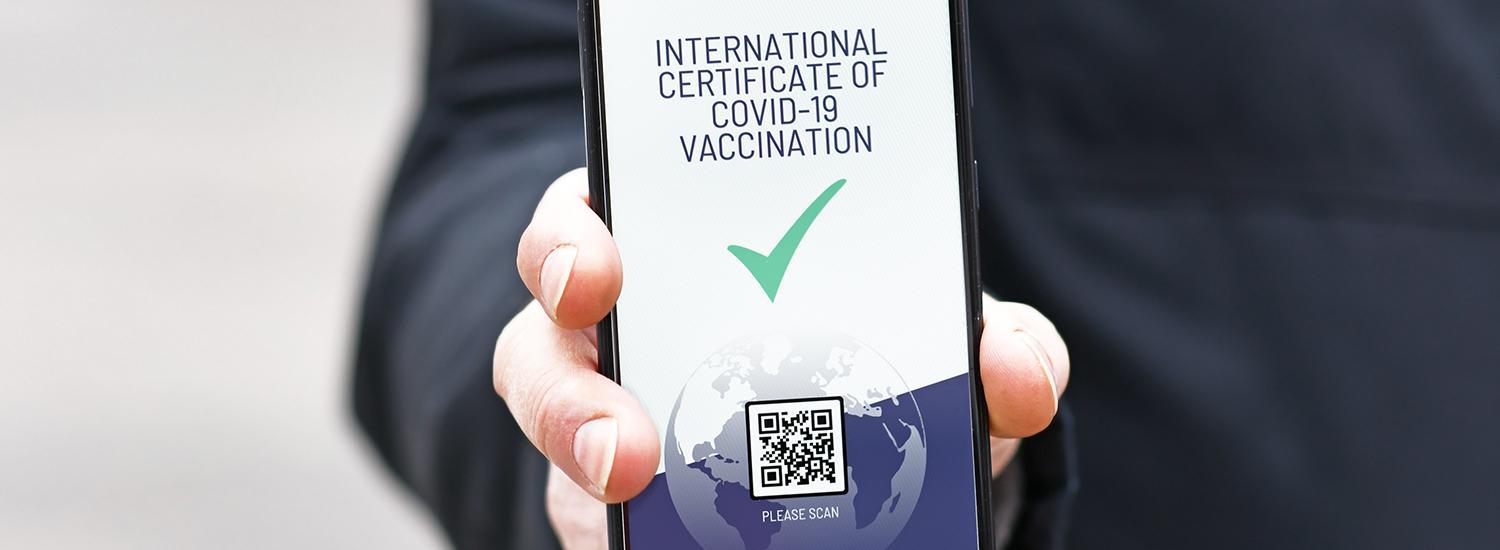 The Latest Status of the Evacuation Process for Tourists Following the Eruption of Mount Lewotobi