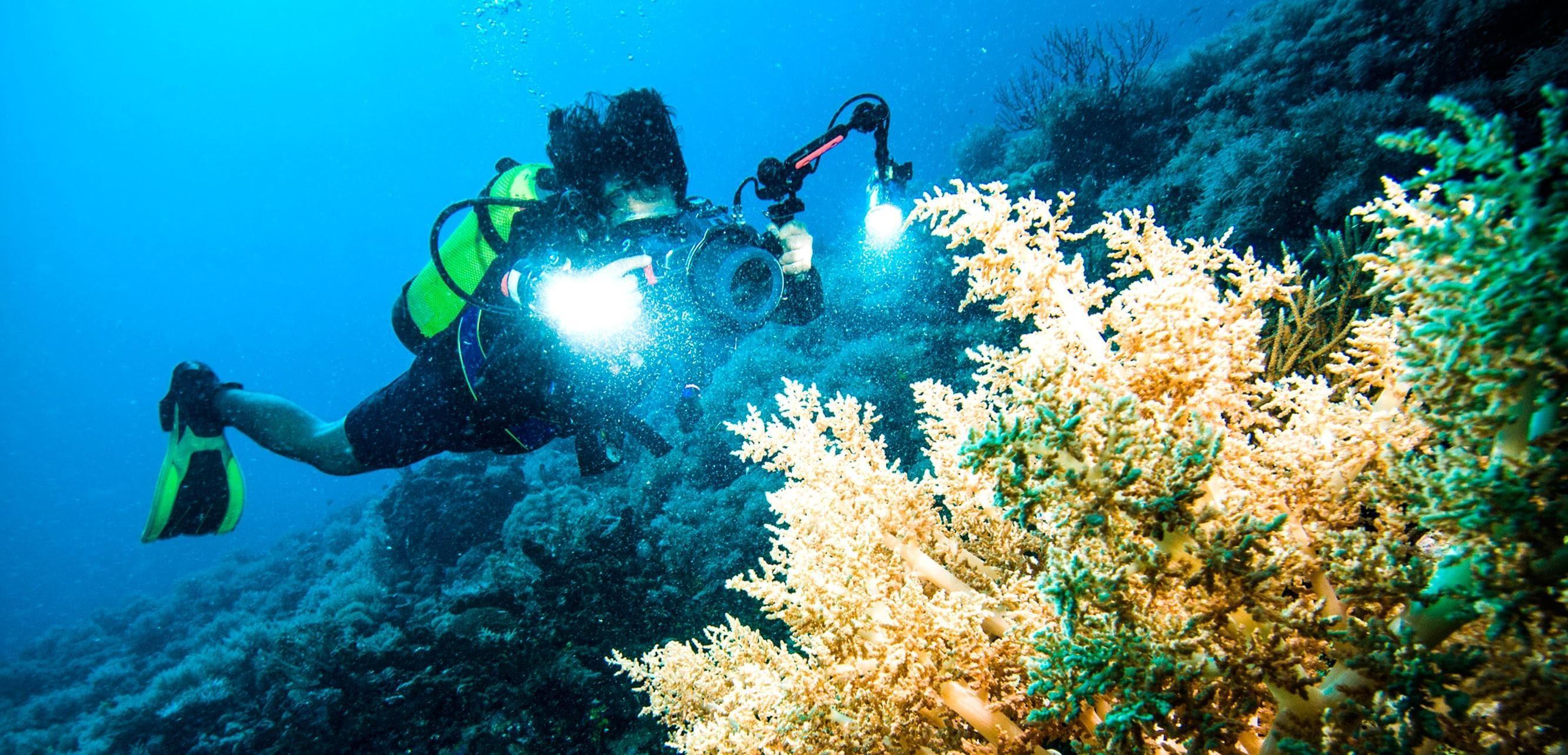 The Latest Status of the Evacuation Process for Tourists Following the Eruption of Mount Lewotobi