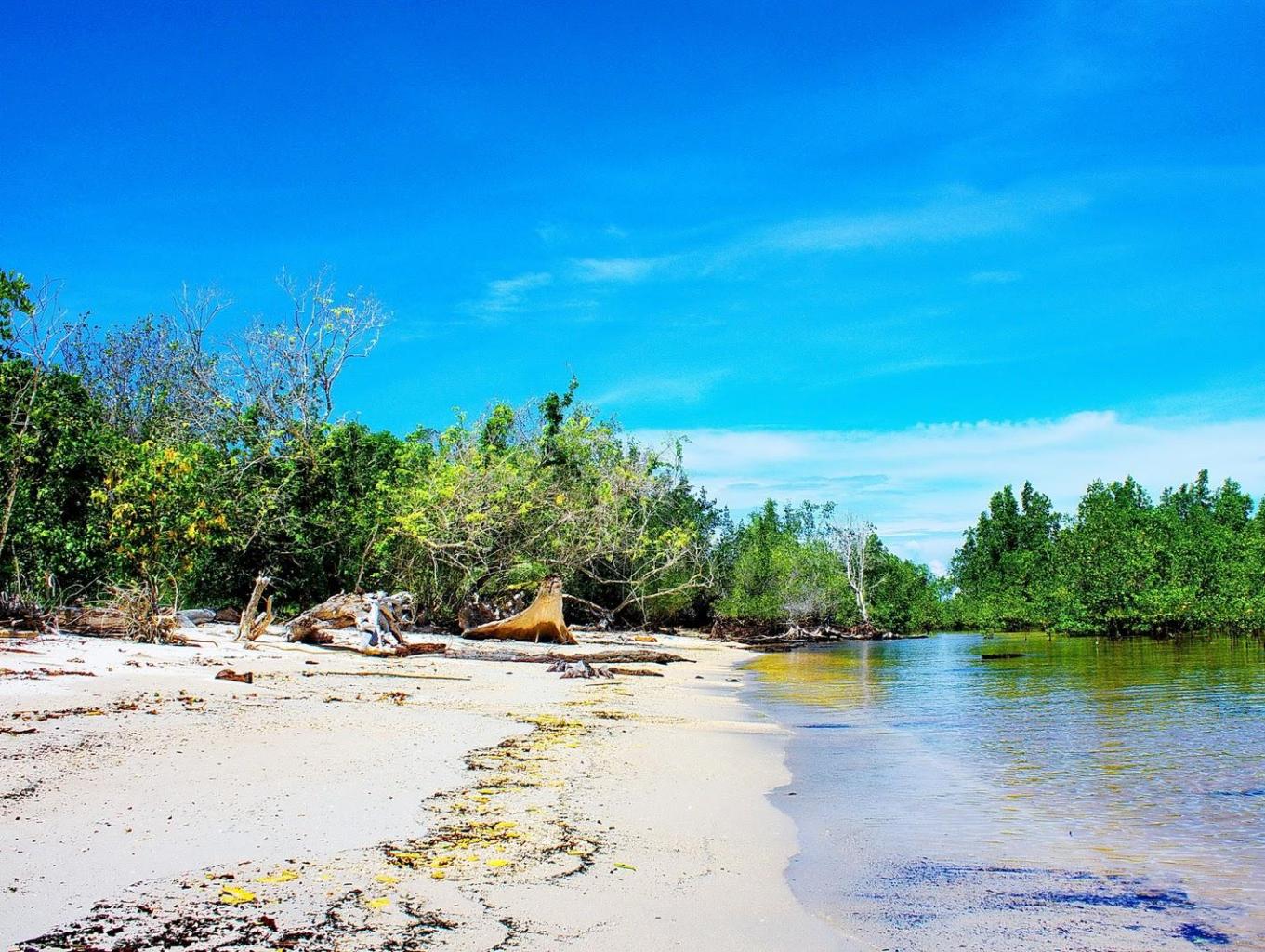 Bahoi Ecotourism Village: Desa Wisata Ekowisata di Likupang yang Wajib Dikunjungi