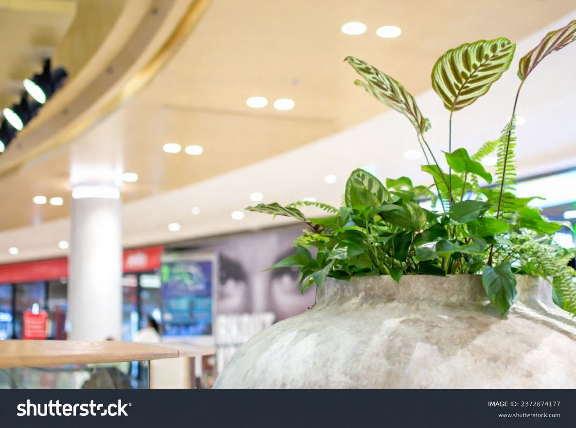 hero image for destination detail