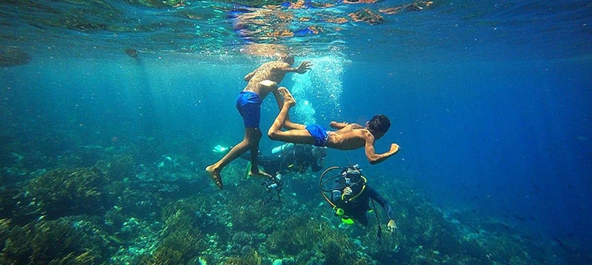 東ヌサ・トゥンガラ　アロール島 手付かずのダイビングスポット5選