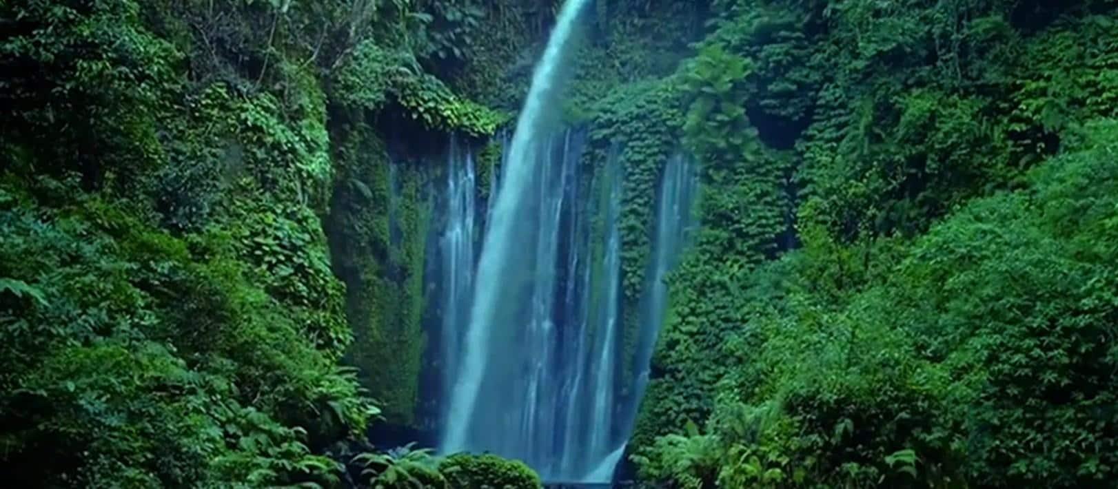 The Latest Status of the Evacuation Process for Tourists Following the Eruption of Mount Lewotobi