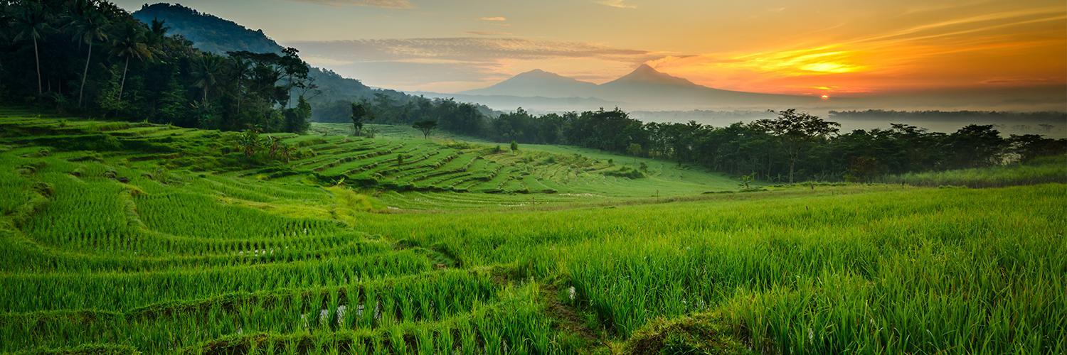 The Latest Status of the Evacuation Process for Tourists Following the Eruption of Mount Lewotobi