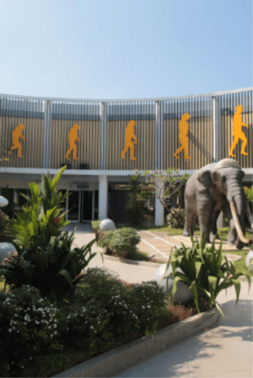 The Semedo Museum 