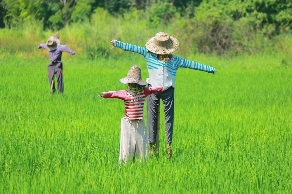 hero image for travel ideas detail