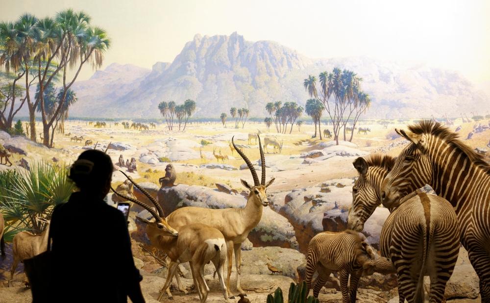 Rahmat International Wildlife Museum & Gallery yang Unik