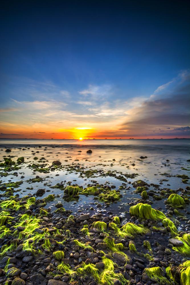 Pantai Lasiana Kupang: Eksotisme Tersembunyi NTT