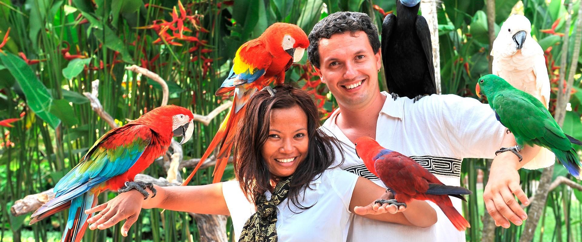 The Latest Status of the Evacuation Process for Tourists Following the Eruption of Mount Lewotobi