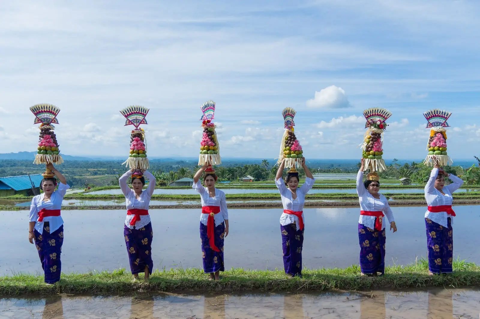 Jatiluwih Festival