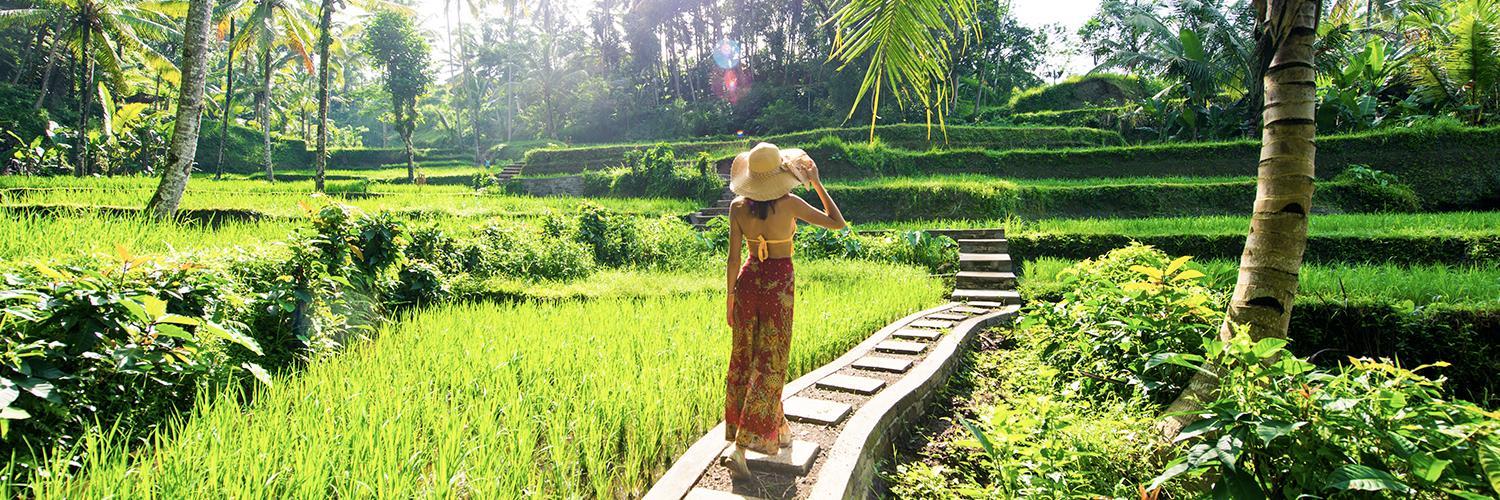 The Latest Status of the Evacuation Process for Tourists Following the Eruption of Mount Lewotobi