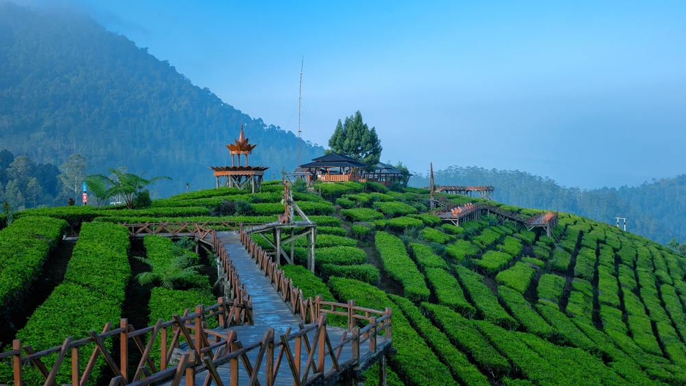hero image for destination detail