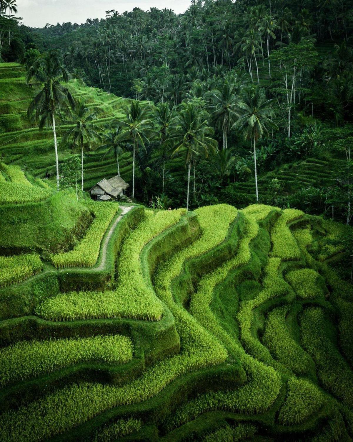 hero image for travel ideas detail