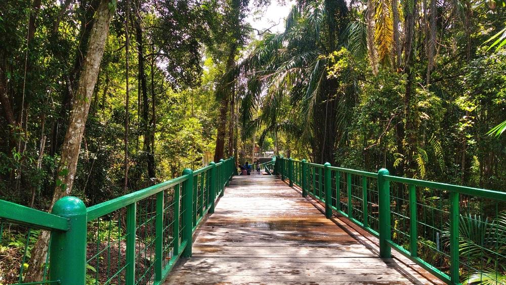Arboretum Nyaru Menteng