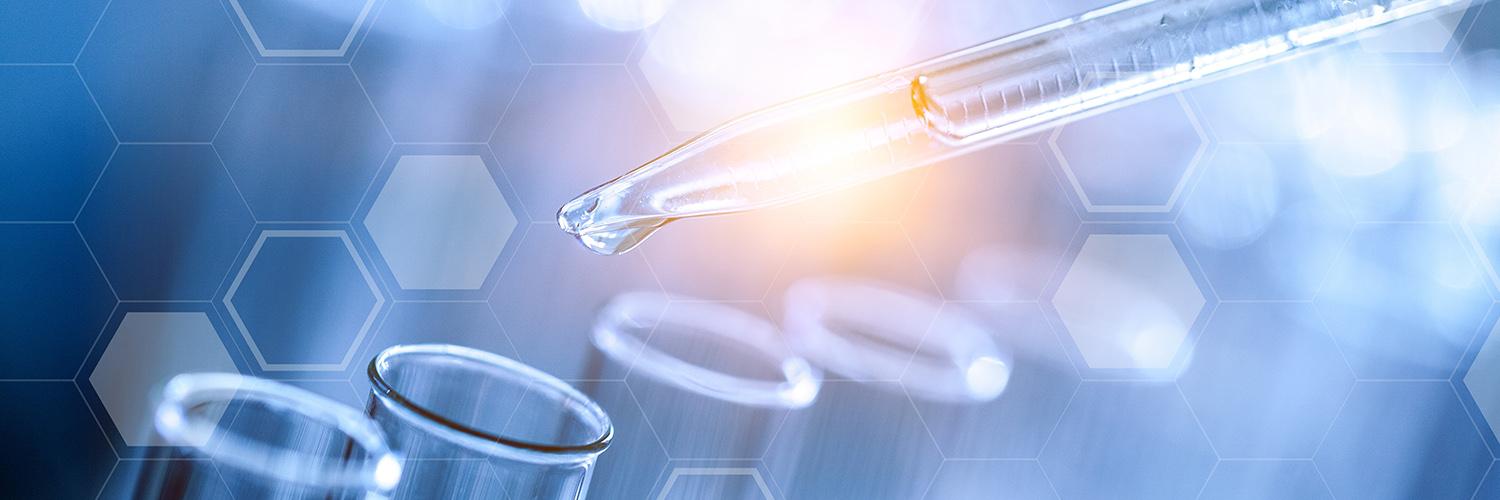 The Latest Status of the Evacuation Process for Tourists Following the Eruption of Mount Lewotobi