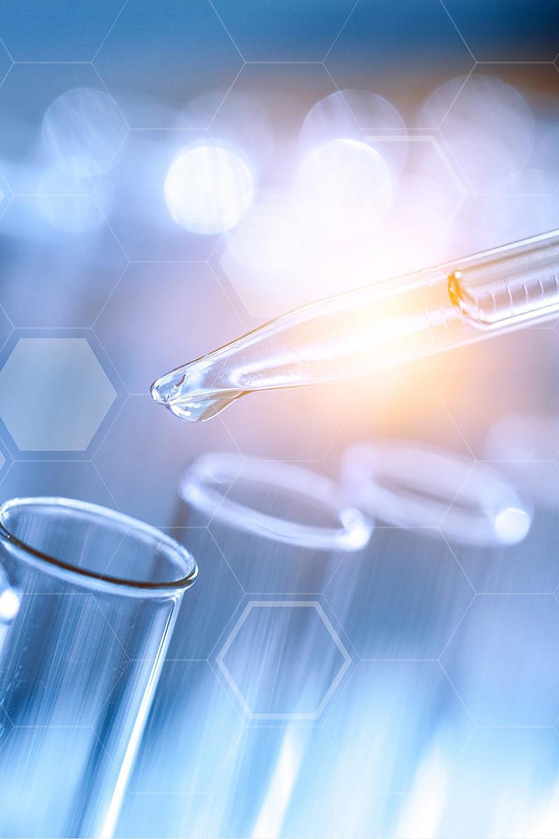 The Latest Status of the Evacuation Process for Tourists Following the Eruption of Mount Lewotobi