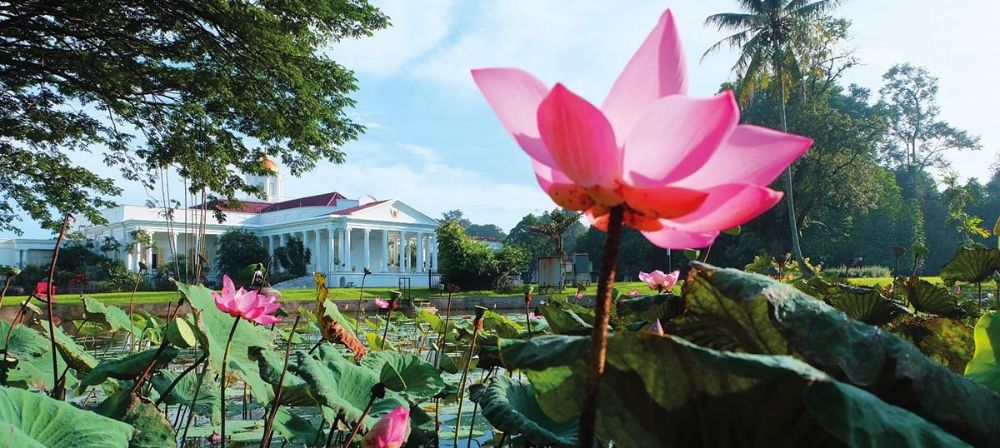 Savouring the Nature's Grandeur of Bogor Botanical Garden