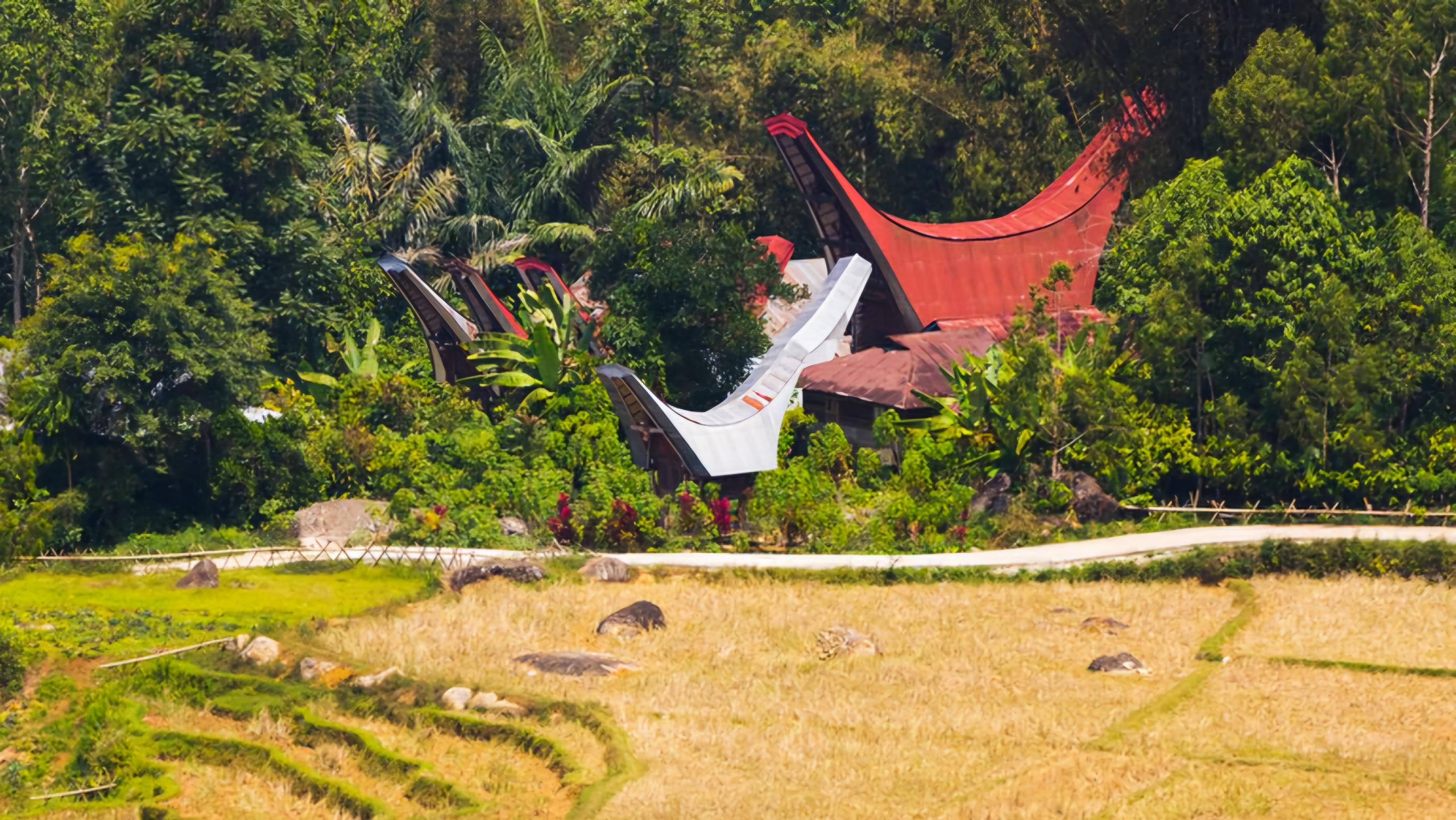 The Latest Status of the Evacuation Process for Tourists Following the Eruption of Mount Lewotobi