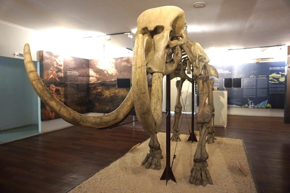 Museum Negeri Kupang