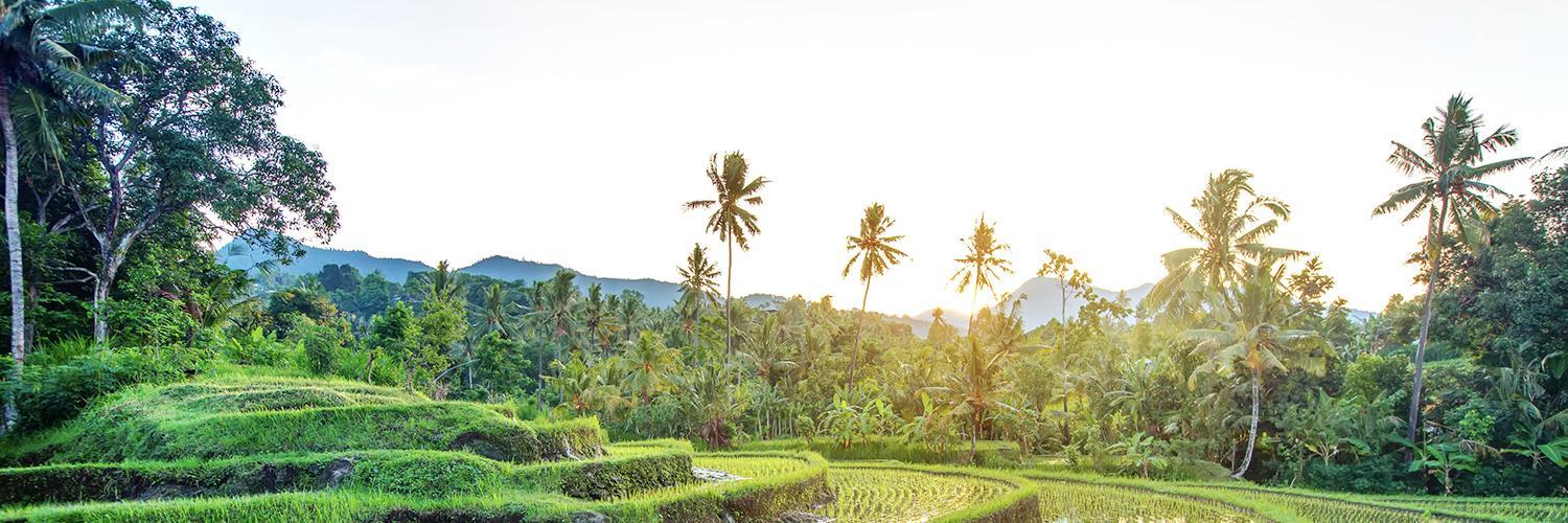 The Latest Status of the Evacuation Process for Tourists Following the Eruption of Mount Lewotobi